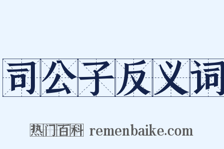 司公子反义词是什么意思的图片